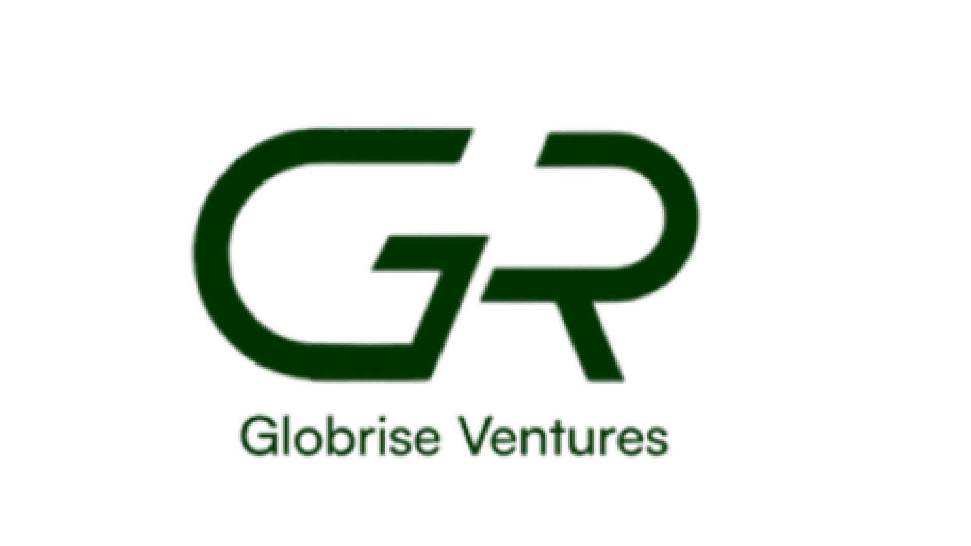 Globrise Ventures logo