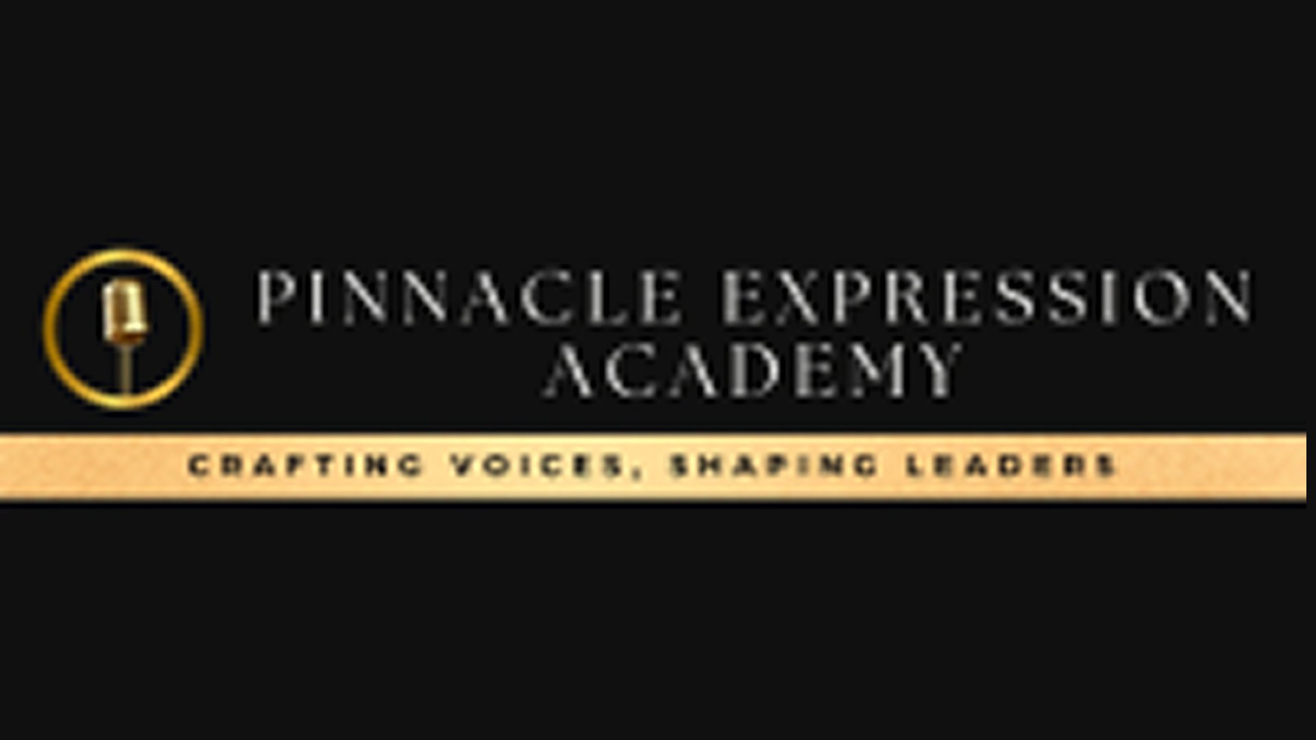Pinnacle Expression Academy logo